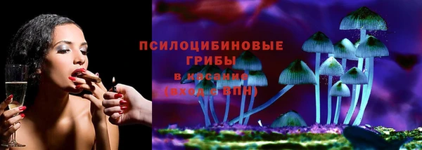 герыч Алексин