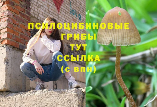 герыч Алексин