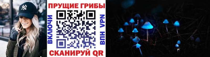 mega маркетплейс Сарапул Псилоцибиновые грибы GOLDEN TEACHER купить наркотики цена