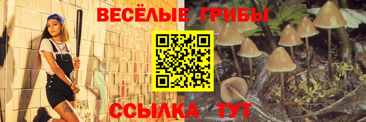 Сарапул  Псилоцибиновые грибы мицелий  Вход с VPN 