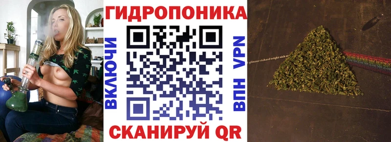 Бошки Шишки семена сайты даркнета клад Сарапул